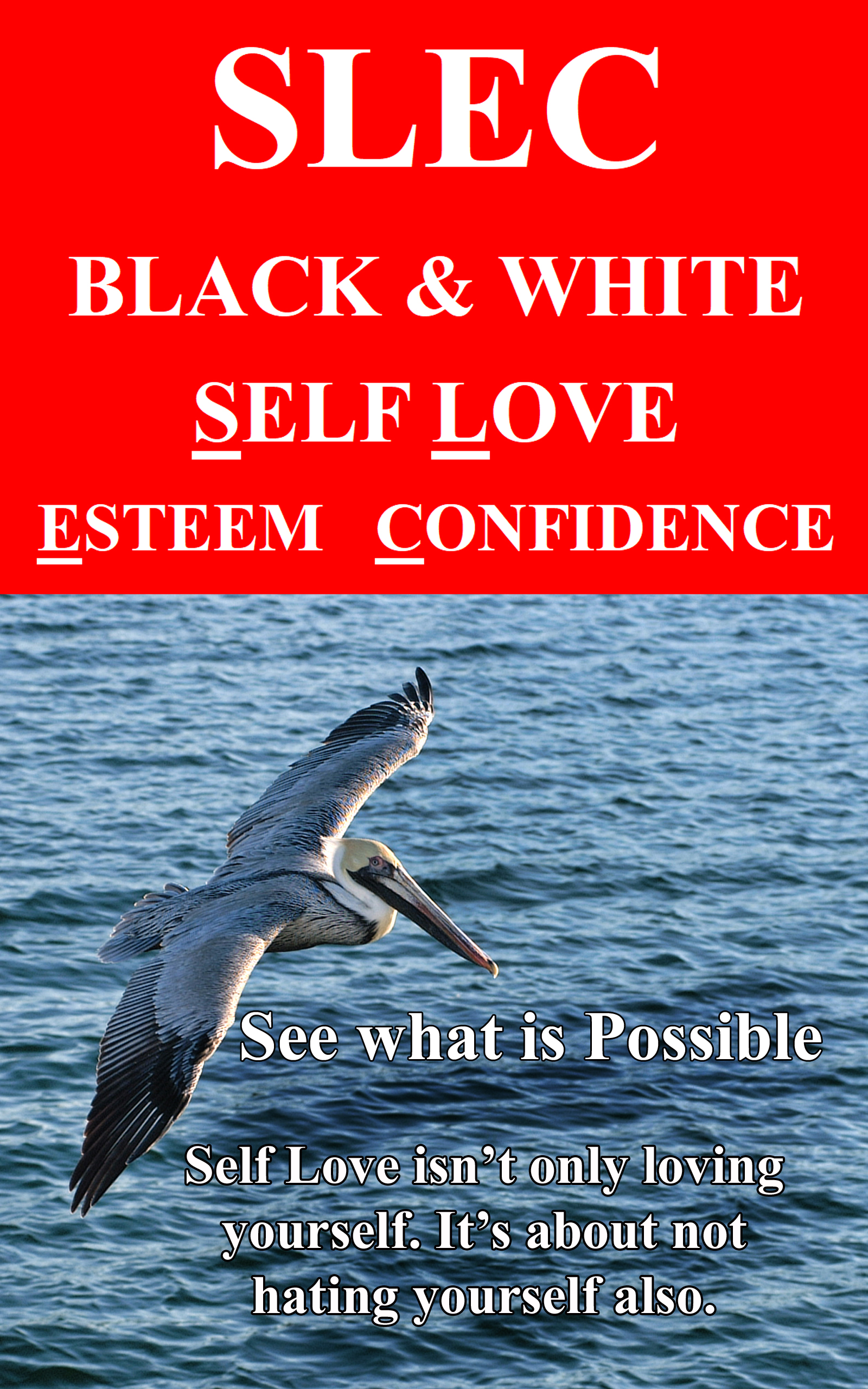 self,love,esteem,confidence,ebook,selftalk,self,talk,happy,mind,program,health,natural,feel,good,
